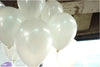 Pearl White Colour Balloons 10” 15pc