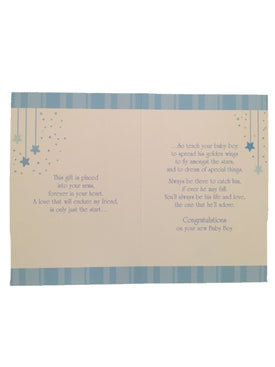 Baby Boy Teddy Party