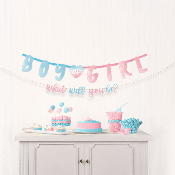 Gender Reveal Jumbo Letter Banner Kit