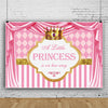 Baby Shower Backdrop - A Little Princess Is On Her Way