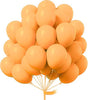 Standard Peach Colour Balloon 10” 15pc