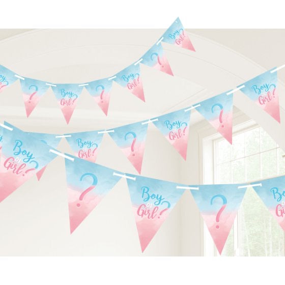 Gender Reveal Paper Pennant Banner