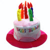 Pink Happy Birthday Cake Shape Hat