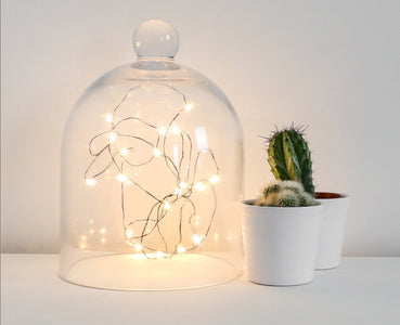 LED Seed Light 1 Meter Warm White