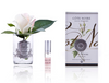 Côte Noire Perfumed Natural Touch Rose Bud in Clear- Pink Blush